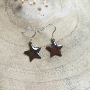 Boucles d'oreilles étoile marron (-40%)