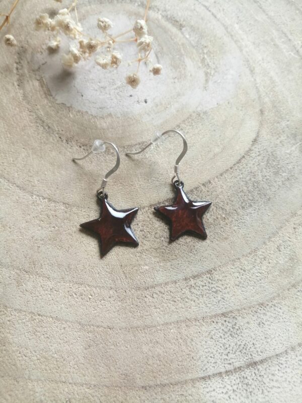 Boucles d'oreilles étoile marron (-40%)
